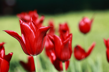 Similar image 1076584