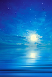 Similar image 1076595