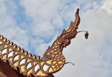 Similar image 1076613