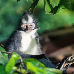 Similar image 1076690