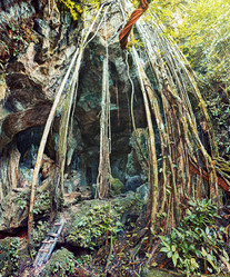 Similar image 1076712