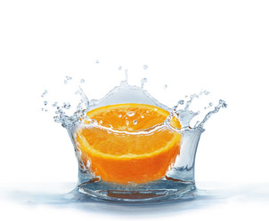 Similar image 1076737