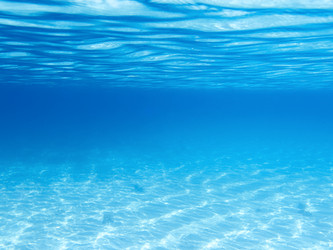 Similar image 1076754