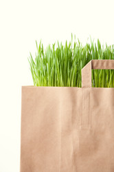 Similar image 1076784