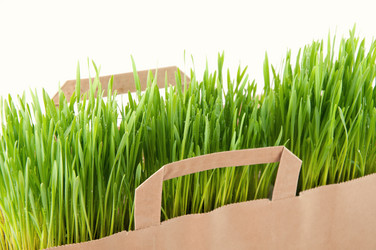 Similar image 1076785