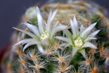 Similar image 1076919