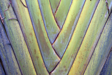 Similar image 1077025