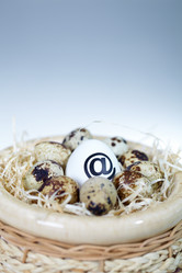 Similar image 1077063