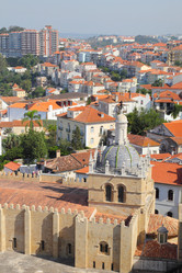 Similar image 1077082