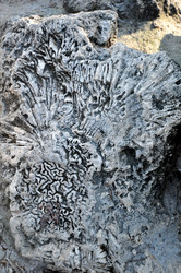 Similar image 1077161