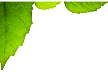 Similar image 1077201