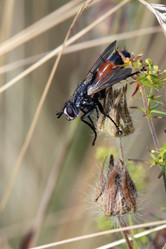 Similar image 1077270