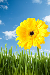 Similar image 1077437