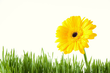 Similar image 1077436