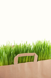 Similar image 1077492