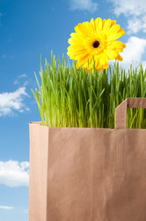 Similar image 1077493