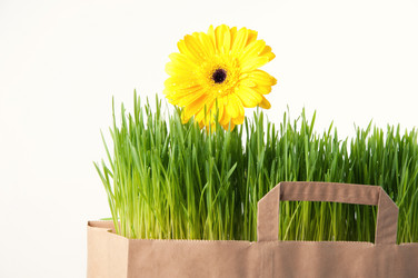 Similar image 1077494