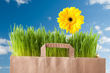 Similar image 1077495