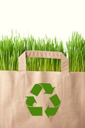 Similar image 1077496