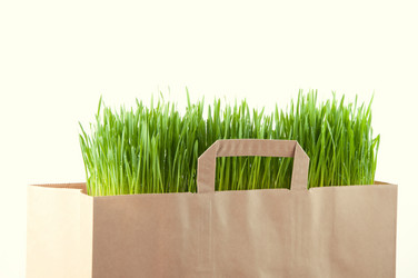 Similar image 1077498