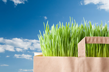 Similar image 1077497