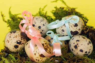 Similar image 1077505