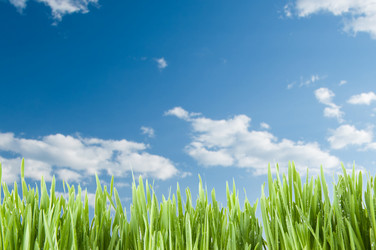 Similar image 1077573