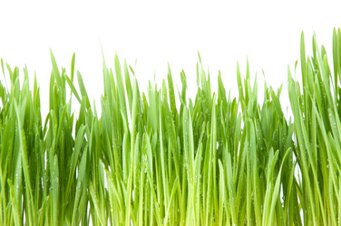 Similar image 1077571