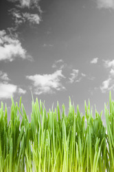 Similar image 1077572