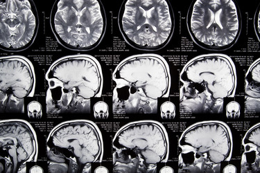 Similar image 1077750