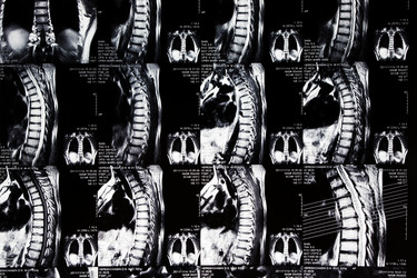 Similar image 1077753