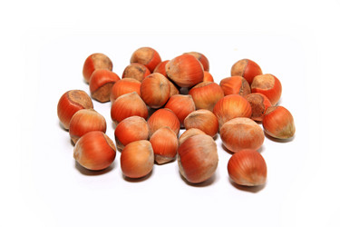 Similar image 1077822