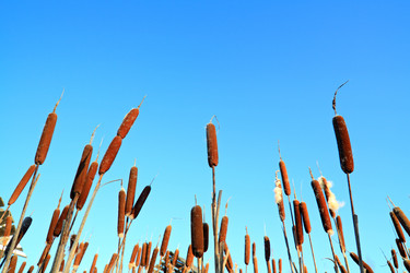 Similar image 1077843