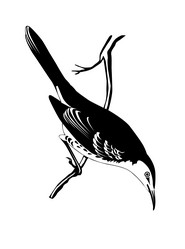 Similar image 1077861