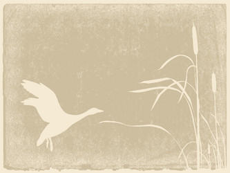 Similar image 1077878