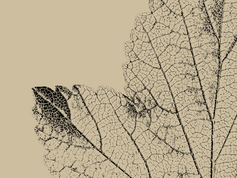 Similar image 1077893