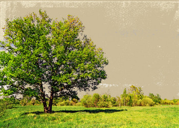 Similar image 1077919