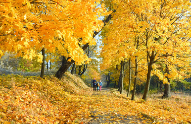 Similar image 1077933