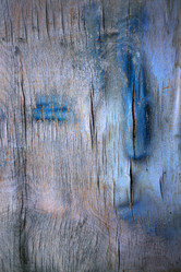 Similar image 1077936