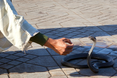 Similar image 1077937