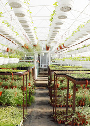 Similar image 1077992