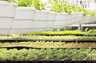 Similar image 1077993