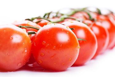 Similar image 1077998