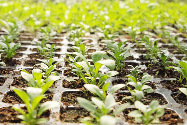 Similar image 1078007