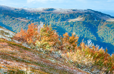 Similar image 1078578