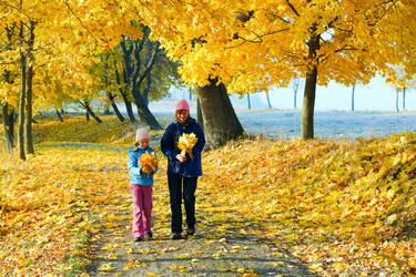 Similar image 1078595