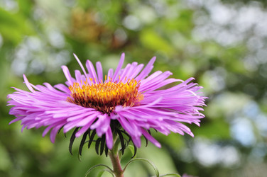 Similar image 1078906