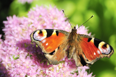 Similar image 1078911