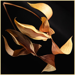 Similar image 1079012