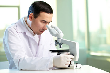 Similar image 1079181